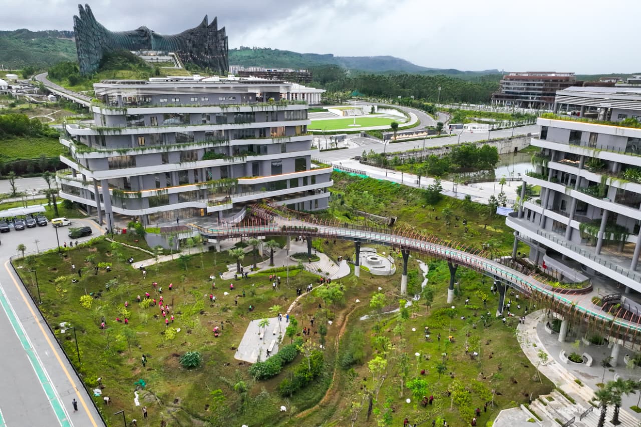 Foto udara menunjukkan kegiatan penanaman 500 pohon di kawasan Kantor Kemenko 3 IKN. Area ini dirancang dengan konsep bangunan yang menyatu dengan lingkungan hijau dan jembatan penghubung yang berkelanjutan.